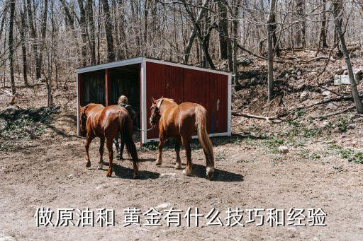 做原油和 黃金有什么技巧和經驗