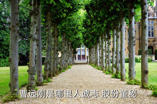 北京清控科創控股股份有限公司,清控科創控股股份有限公司重大項目辦風能