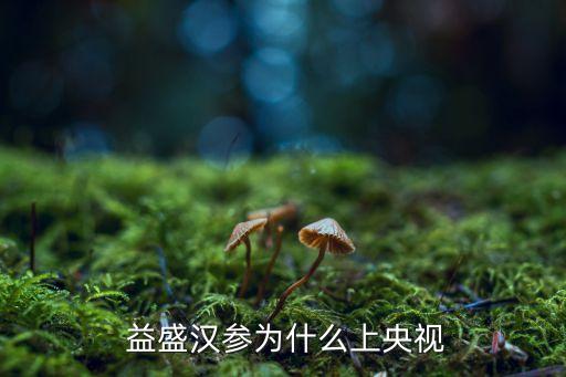 益盛漢參股票發行了嗎
