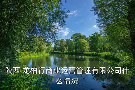 陜西 龍柏行商業運營管理有限公司什么情況