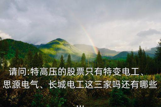 請問:特高壓的股票只有特變電工、 思源電氣、長城電工這三家嗎還有哪些...