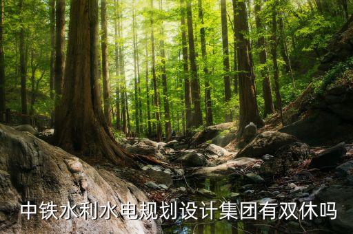  中鐵水利水電規劃設計集團有雙休嗎