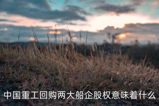 有限公司資產重組框架協議,太平洋水處理工程有限公司資產重組情況