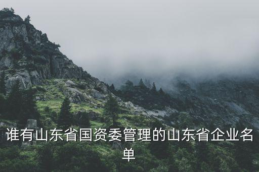 萊蕪市經濟開發投資有限公司,濱州市濱城區經濟開發投資有限公司