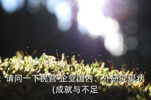 請問一下民營 企業國內、外研究現狀(成就與不足