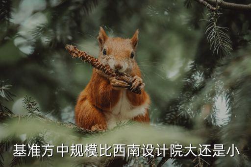  基準方中規模比西南設計院大還是小