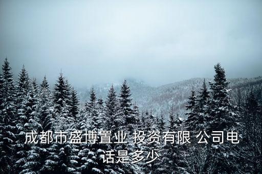 成都市新都區投資公司,新都區國有投資公司