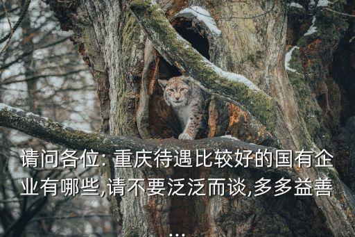請問各位: 重慶待遇比較好的國有企業有哪些,請不要泛泛而談,多多益善...