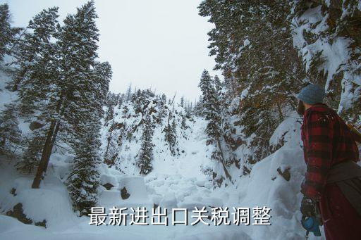 最新進出口關稅調整