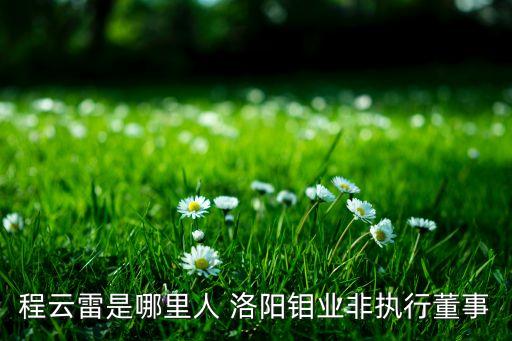 程云雷是哪里人 洛陽鉬業非執行董事