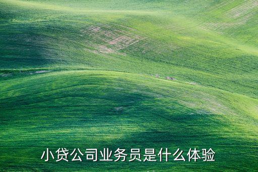 浙富小額貸款股份有限公司招聘,徐匯大眾小額貸款股份有限公司正規嗎