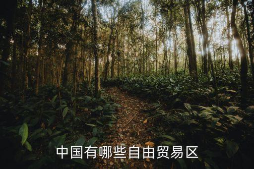 中國有哪些自由貿易區