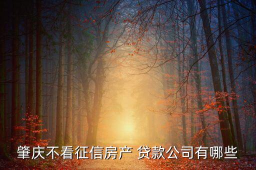 肇慶不看征信房產 貸款公司有哪些