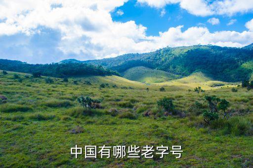 上海鼎豐科技發展有限公司,北京鼎豐恒業科技發展有限公司