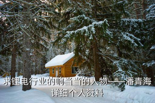 求鋰電行業(yè)的響當(dāng)當(dāng)?shù)娜宋铩饲嗪Ｔ敿殏€人資料