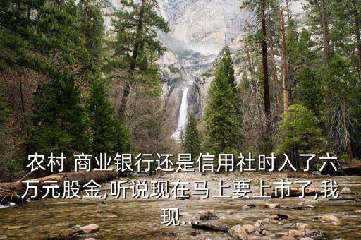  農村 商業銀行還是信用社時入了六萬元股金,聽說現在馬上要上市了,我現...