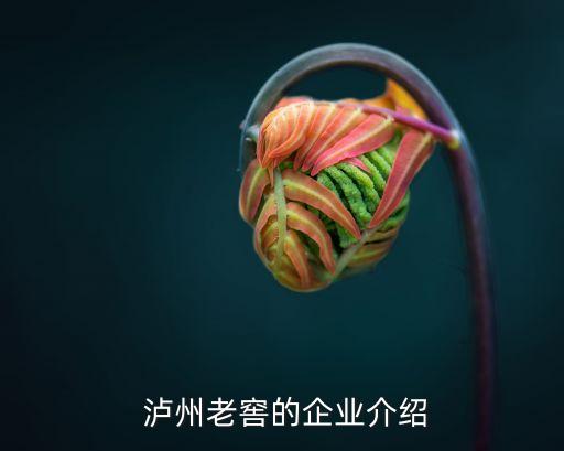  瀘州老窖的企業介紹