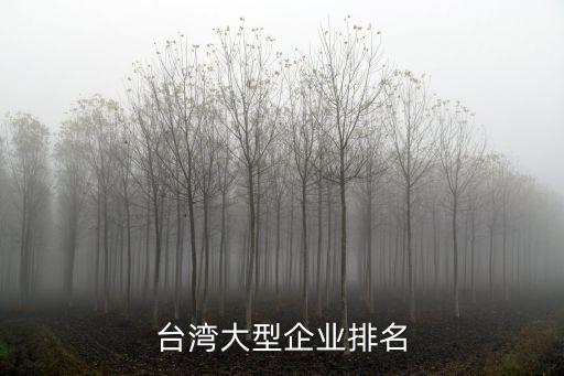 臺灣大型企業排名