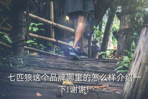 上海七匹狼實業有限公司,上海南棠實業有限公司