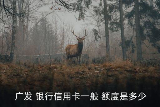  廣發 銀行信用卡一般 額度是多少