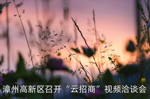 漳州高新區召開“云招商”視頻洽談會