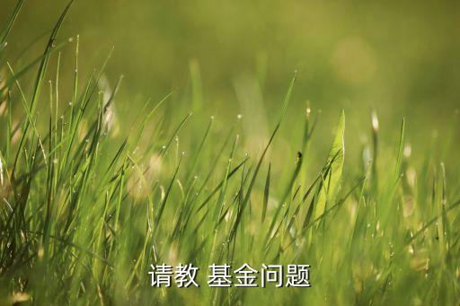 請(qǐng)教 基金問(wèn)題