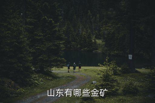 寶金礦業集團董事長,三河礦業集團董事長照片