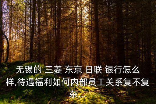 無錫的 三菱 東京 日聯 銀行怎么樣,待遇福利如何內部員工關系復不復雜...