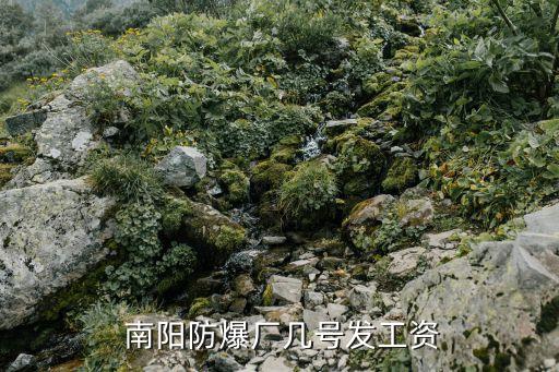 南陽防爆廠幾號發工資