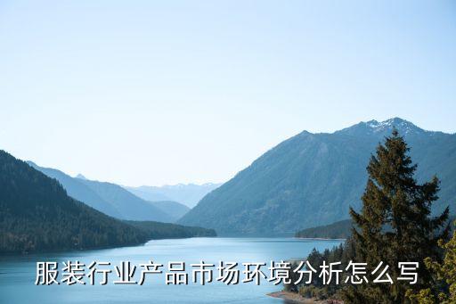 服裝行業產品市場環境分析怎么寫