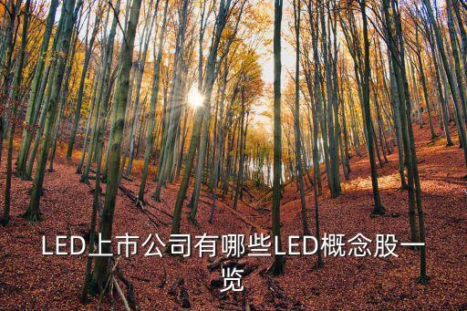 青島市天龍投資發展有限公司,廣西隆安天龍投資有限公司