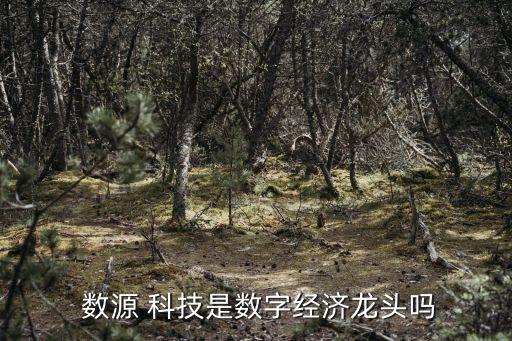 數源科技有限公司,北京華夏數源科技有限公司