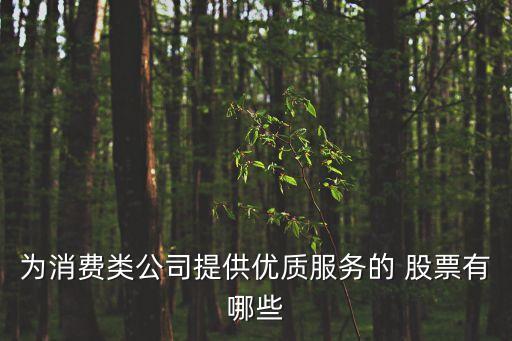 為消費類公司提供優質服務的 股票有哪些