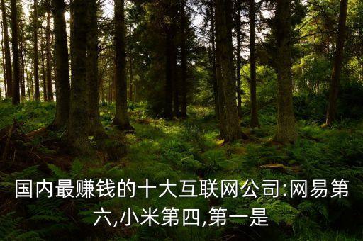 中國電商企業top10榜單,電商top10的企業