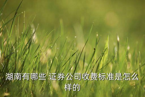 湘財證券股票交易手續費,股票交易手續費10000元要多少