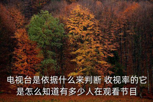 電視臺是依據什么來判斷 收視率的它是怎么知道有多少人在觀看節目