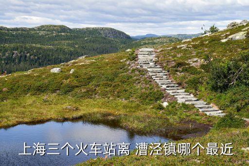 上海漕涇電廠國優證書