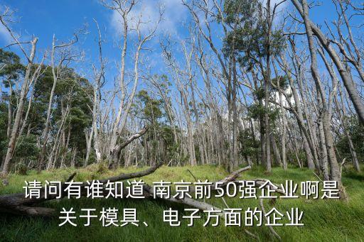 請問有誰知道 南京前50強企業啊是關于模具、電子方面的企業