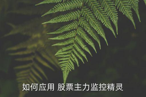如何應用 股票主力監控精靈