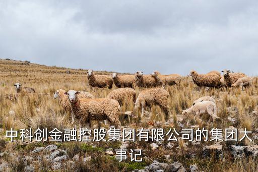 中科創金融控股集團有限公司的集團大事記