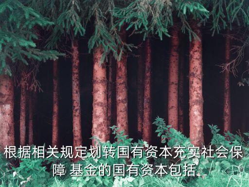 根據相關規定劃轉國有資本充實社會保障 基金的國有資本包括