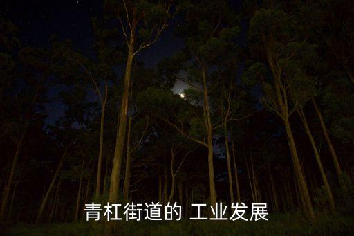 青杠街道的 工業發展