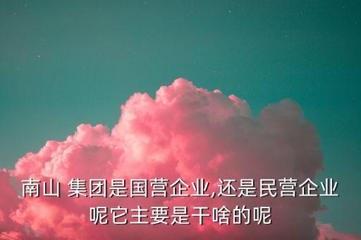 南山 集團是國營企業,還是民營企業呢它主要是干啥的呢