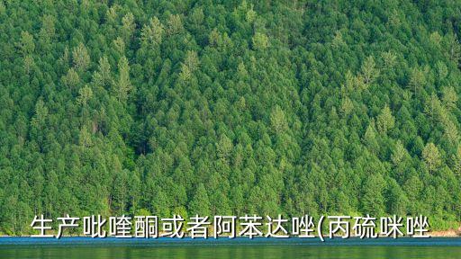 生產吡喹酮或者阿苯達唑(丙硫咪唑