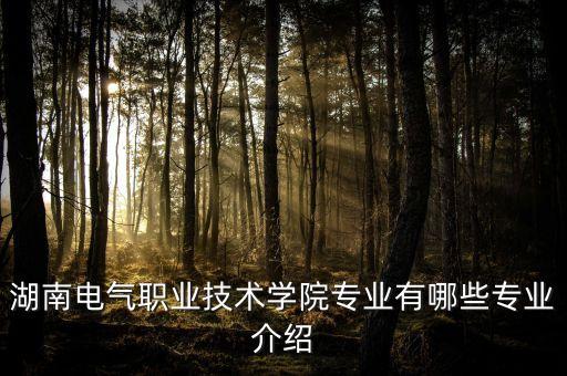 湖南電氣職業技術學院專業有哪些專業介紹
