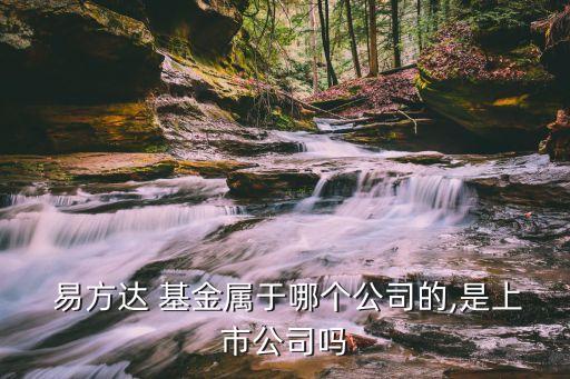 易方達互聯網基金,010387易方達基金