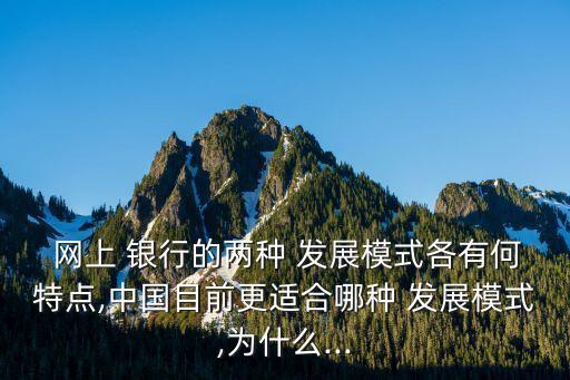  網上 銀行的兩種 發(fā)展模式各有何特點,中國目前更適合哪種 發(fā)展模式,為什么...