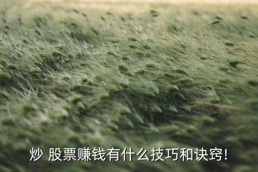 股票投資技巧與策略,網股票投資恒盛策略y