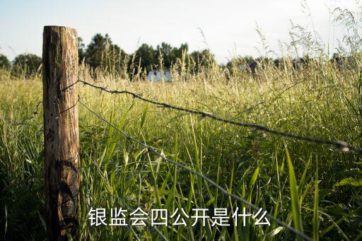 中國銀監網
