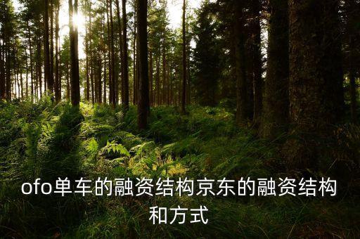 ofo單車的融資結構京東的融資結構和方式